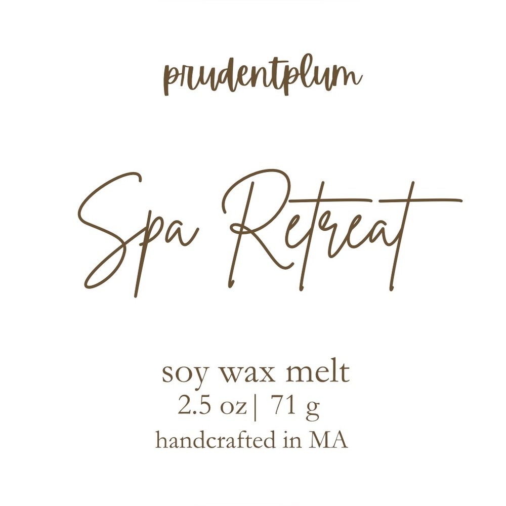 Spa Retreat Soy Wax Melt 2.5 oz | Melts For Wax Warmer Clamshell - Picture 2 of 3